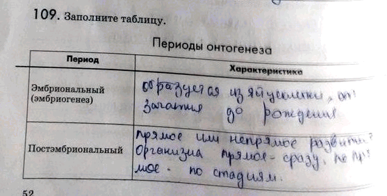 Изображение 1 09. Заполните таблицу. Периоды онтогенезаПериод Характеристика Эмбриональный (эмбриогенез) Постэмбриональный...