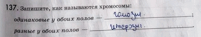 Изображение 1 37. Запишите, как называются хромосомы:одинаковые у обоих полов —;разные у обоих полов...