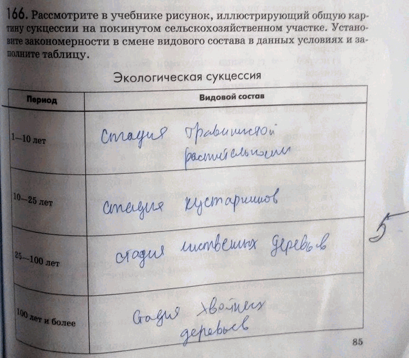 Изображение 1 66. Рассмотрите в учебнике рисунок, иллюстрирующий общую картину сукцессии на покинутом сельскохозяйственном участке. Установите закономерности в смене видового...