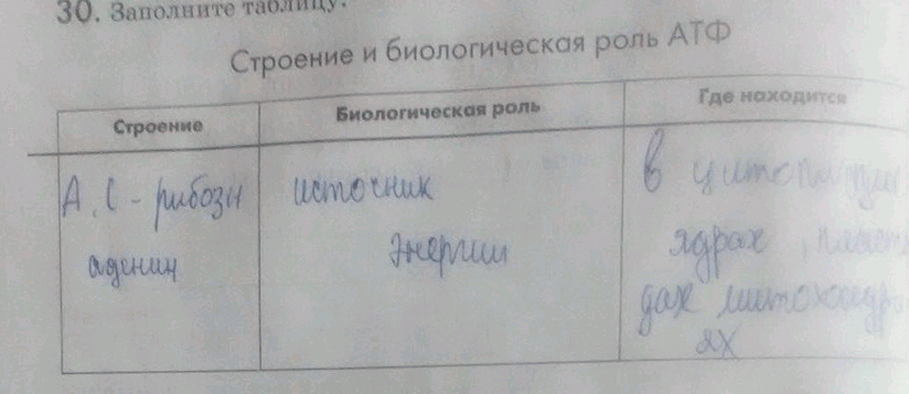 Изображение 30. Заполните таблицу. Строение и биологическая роль АТФСтроение Биологическая роль Где находится...