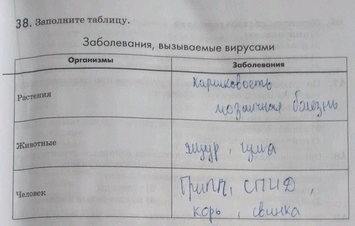 Изображение 38. Заполните таблицу. Заболевания, вызываемые вирусамиОрганизмы Заболевания Растения Животные Человек...