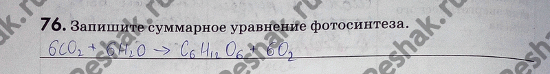 Изображение 76. Закончите предложения. Способ питания организма зависит от. По способу питания зелёные растения являютсяОсновной источник энергии на нашей планете...