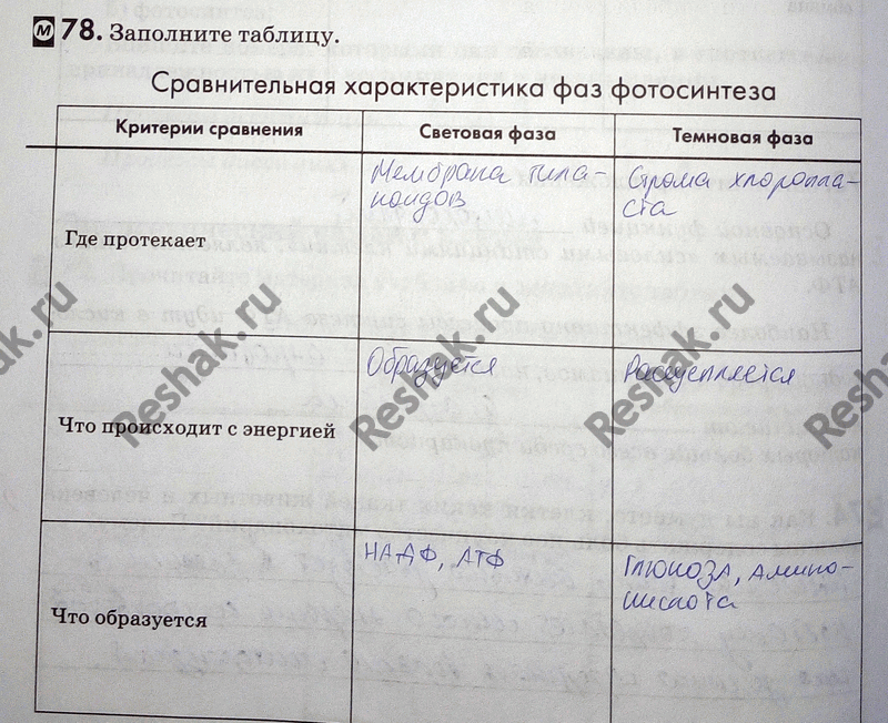 Изображение 78. Заполните таблицу. Автотрофные и гетеротрофные организмыГруппы организмов Способ получения Представители органических веществ Автотрофы Г етеротрофы...