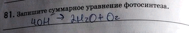 Изображение Упр.81 ГДЗ Рабочая тетрадь Пасечник 9 класс