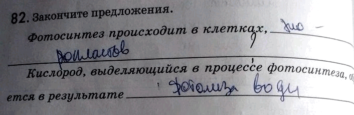 Изображение 82. Закончите предложения. Фотосинтез происходит в клетках,Кислород, выделяющийся в процессе фотосинтеза, образуется в...