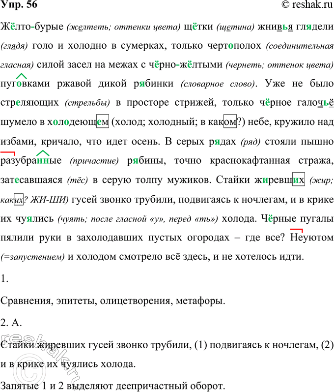 Изображение 56 Перепишите фрагмент из романа И. С. Шмелёва «Волчий перекат», вставляя пропущенные буквы и знаки препинания.(Ж..лто)бурые щ..тки жнив(?)я гл..дели голо и холодно в...
