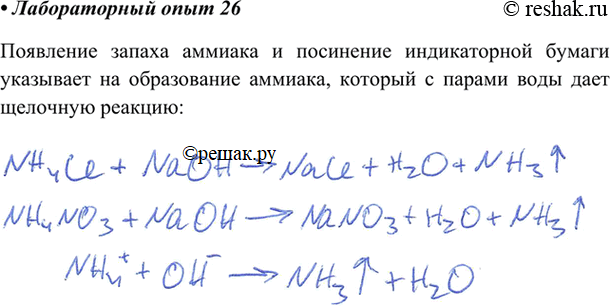 Изображение В две пробирки налейте по 2 мл растворов солей аммония — хлорида NH4CI и нитрата NH4NO3. Затем добавьте в каждую по 1 мл раствора щелочи — гидроксида натрия. Подогрейте...