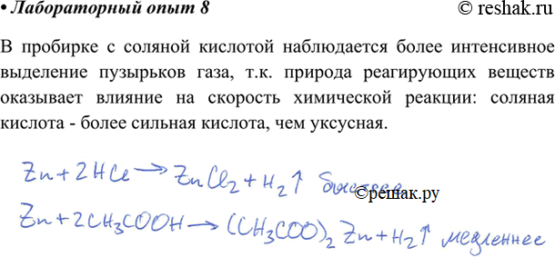 Изображение В одну пробирку налейте 2—3 мл соляной кислоты, в другую 2 -3 мл раствора уксусной кислоты такой же концентрации. В каждую из пробирок опустите по одной грануле цинка. В...